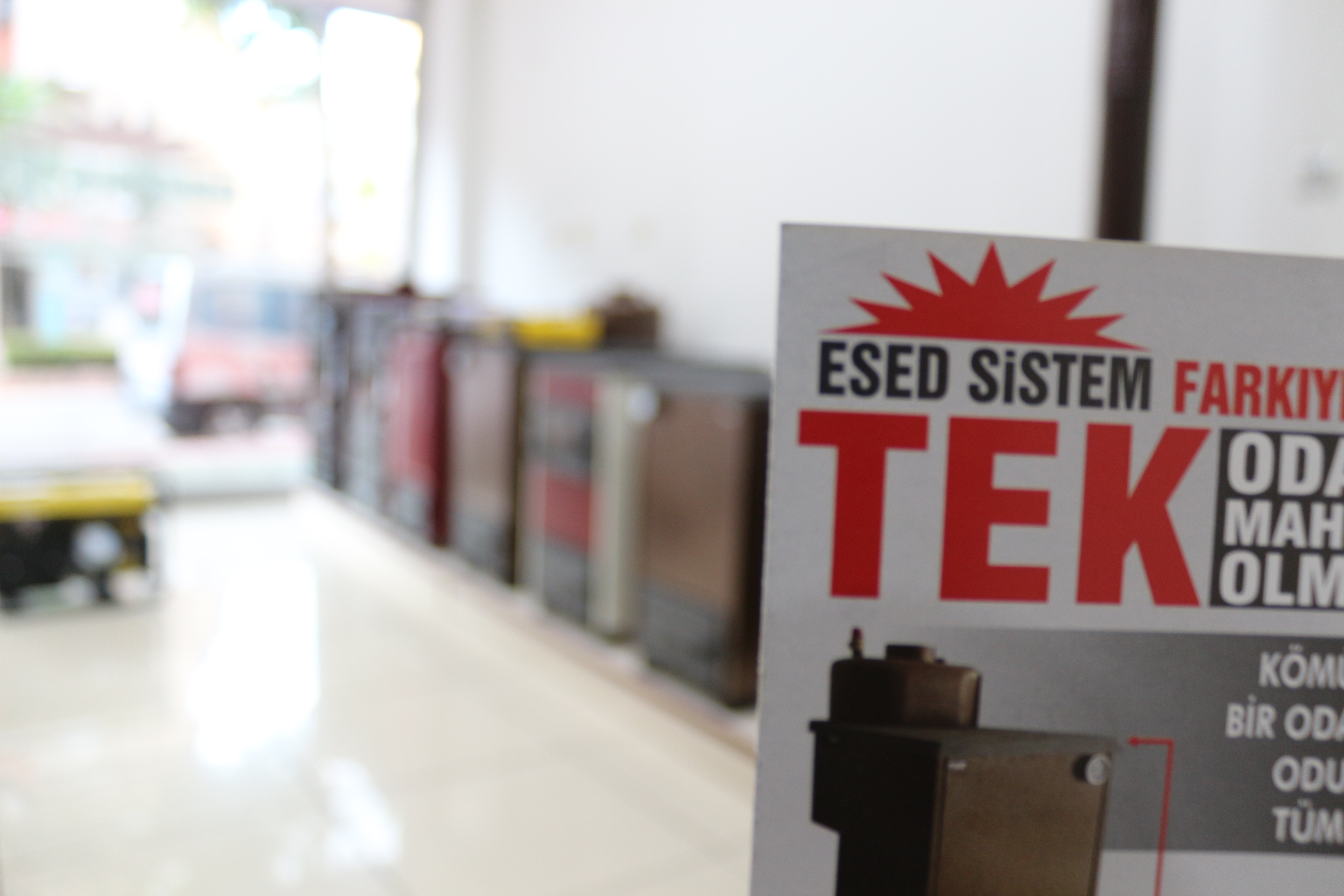 Esed Saha Çalışması